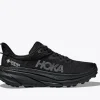 Challenger 7 GTX-black / black