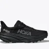 Challenger 7 GTX-black / black
